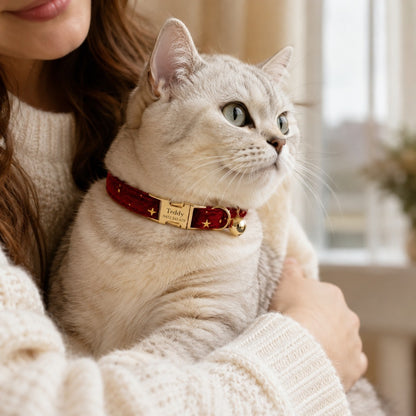 Cat in owner's arms wearing Velvet Golden Star Cat Collar