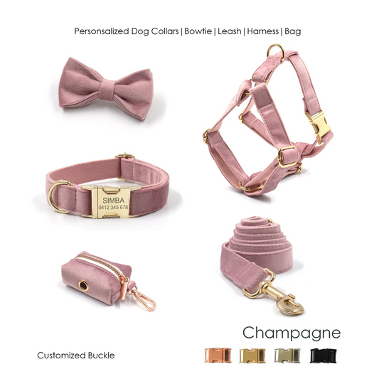 Custom Thick Velvet Champagne Pink Personalised Dog Collar, Matching Dog Bowtie, Dog Leash, Dog Harness and Dog Poop Bag