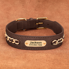 Personalized Laser Engraved Genuine Leather Golden Chain Deco Dog Collar for Small to Large dogs