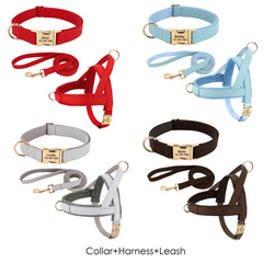 Personalized dog accessories