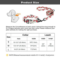 Personalized Nylon Dog Collar or Leash Set