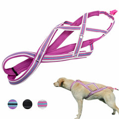 Dog Weight Pulling Sledding Harness