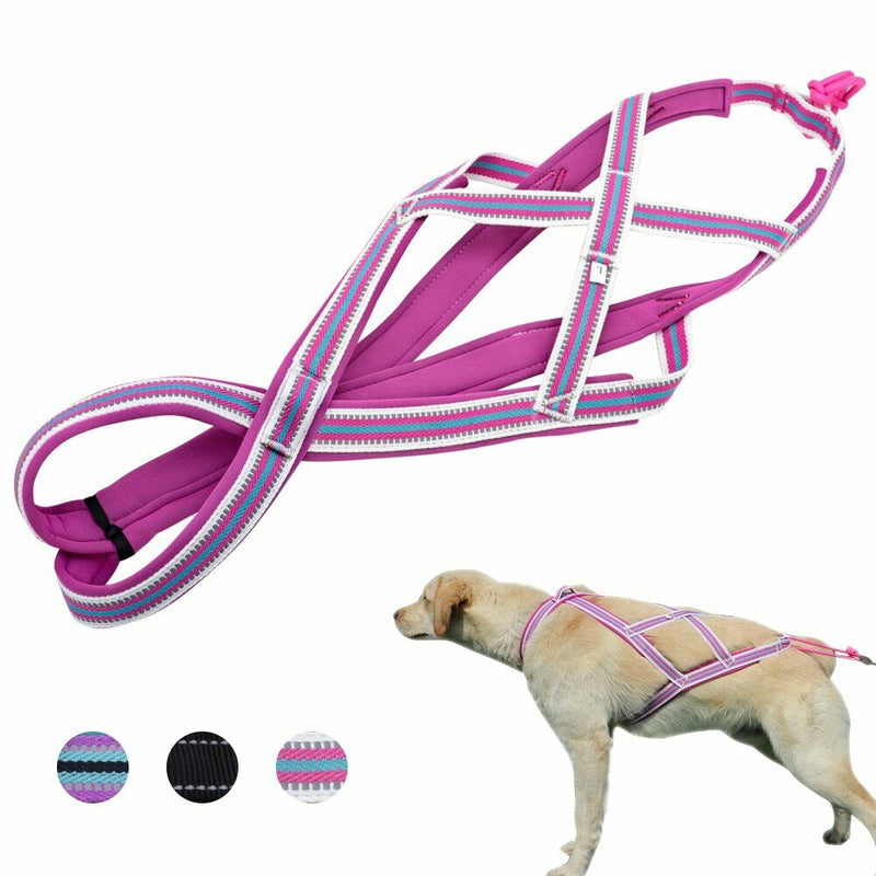 Dog Weight Pulling Sledding Harness