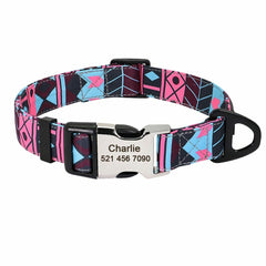 Personalized Nylon Dog Collar or Leash Set