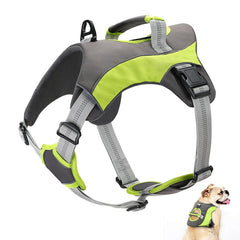 Reflective Non Pull Dog Harness