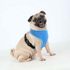 Dog Mesh Personalized No Pull Harness