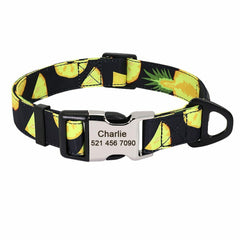 Personalized Nylon Dog Collar or Leash Set