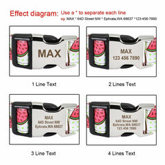 Personalized Nylon Dog Collar or Leash Set