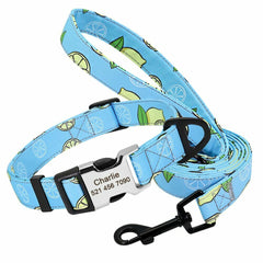 Personalized Nylon Dog Collar or Leash Set