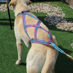 Dog Weight Pulling Sledding Harness