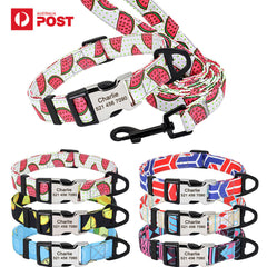 Personalized Nylon Dog Collar or Leash Set