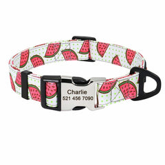 Personalized Nylon Dog Collar or Leash Set