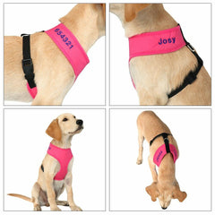 Dog Mesh Personalized No Pull Harness