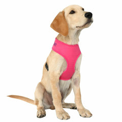 Dog Mesh Personalized No Pull Harness