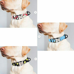Personalized Nylon Dog Collar or Leash Set