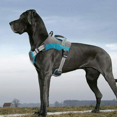 Reflective Non Pull Dog Harness