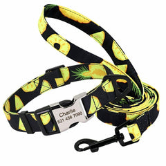 Personalized Nylon Dog Collar or Leash Set