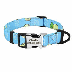 Personalized Nylon Dog Collar or Leash Set