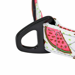 Personalized Nylon Dog Collar or Leash Set