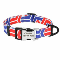 Personalized Nylon Dog Collar or Leash Set