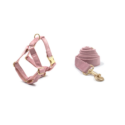 Custom Thick Velvet Champagne Pink Personalised Dog Collar, Matching Dog Bowtie, Dog Leash, Dog Harness and Dog Poop Bag