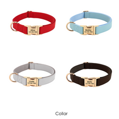 custom engraved dog collars
