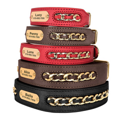 Personalized Laser Engraved Genuine Leather Golden Chain Deco Dog Collar for Small to Large dogs