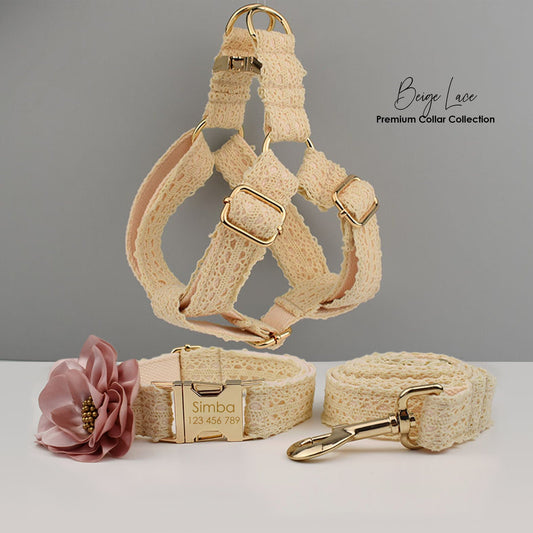 Personalised Dog Collar or Dog Lead Set in Beige and Lace Pattern, Trendy Style for Wedding for Small Medium Large Female Dogs