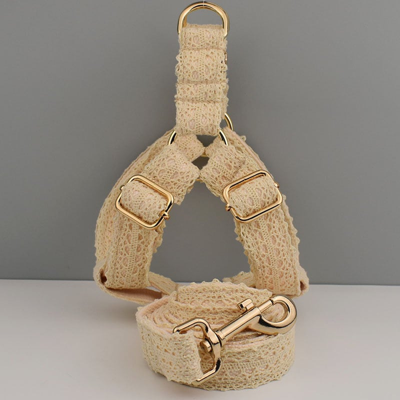 Personalised Dog Collar or Dog Lead Set in Beige and Lace Pattern, Trendy Style for Wedding for Small Medium Large Female Dogs