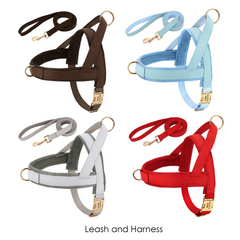 Personalized Engraved Handmade PU Leather Dog Collar, Leash, Harness featuring a Nylon Inner Webbing and Metal Buckle