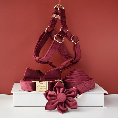 personalized Burgundy color dog collar set