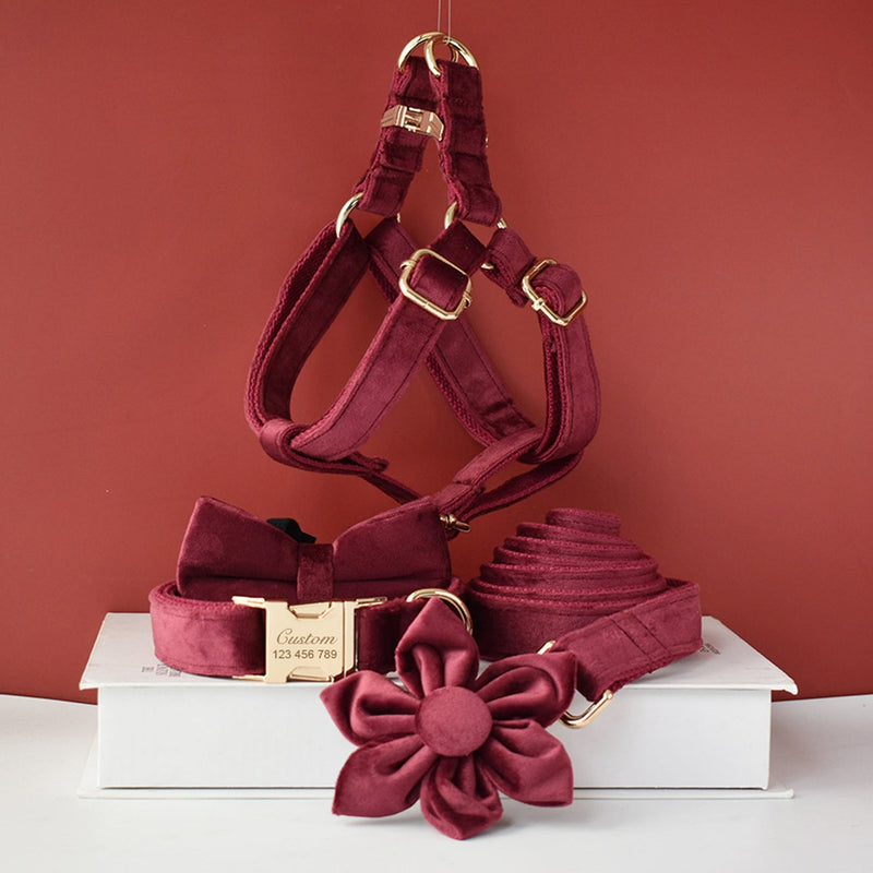 personalized Burgundy color dog collar set