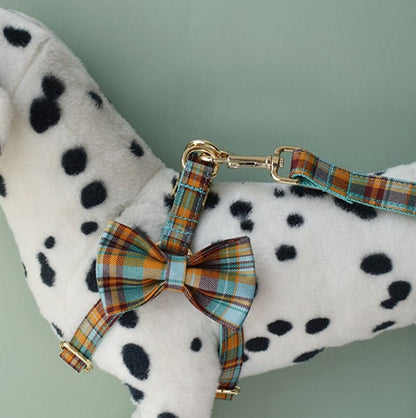 Personalised Blue Tartan Dog Collar with Name Dog Leash Set
