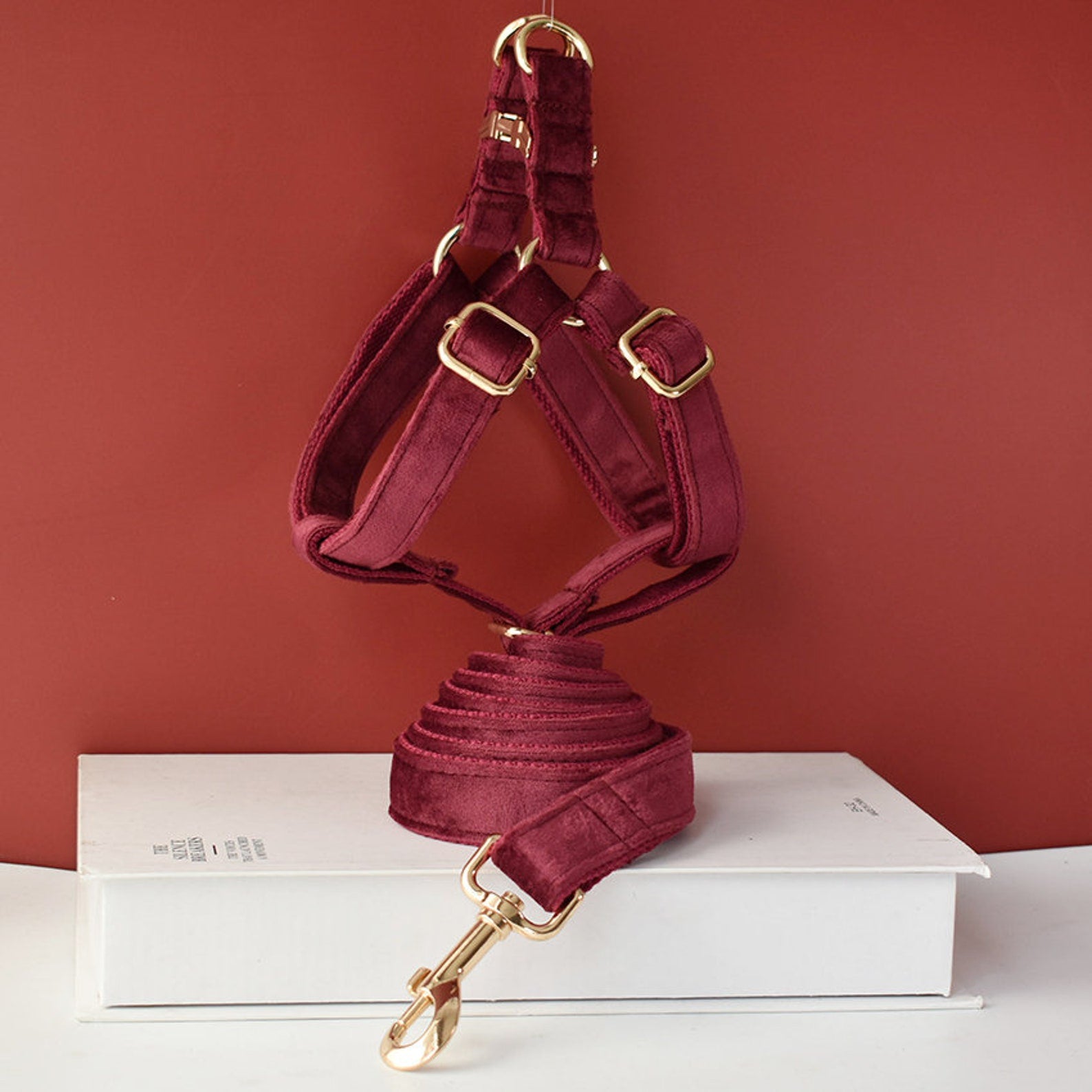 burgundy leash and harness