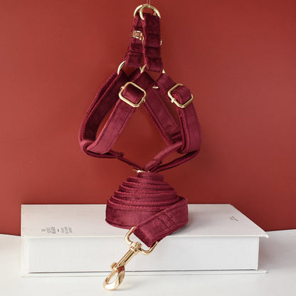 burgundy leash and harness