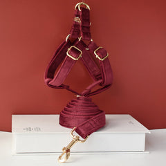 burgundy leash and harness