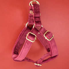 Personalized Engraved Handmade Thick Velvet Burgundy Dog Collar and Lead Set, Matching Bowtie, and Step In Harness Available