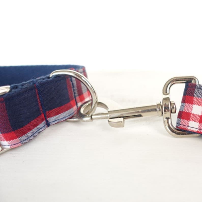 Personalised BLUE PLAID Dog Collar Set