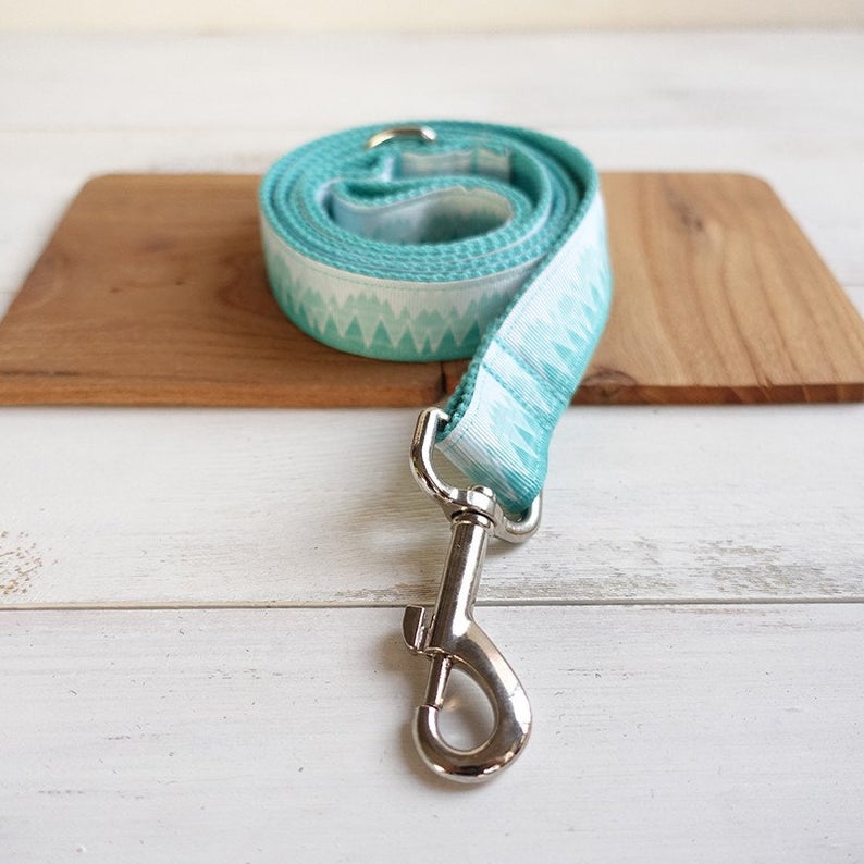 Personalised Blue Mountain Dog Collar Set