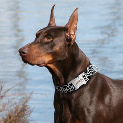 Custom Black and White Dog Collar & Leash