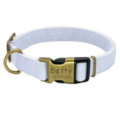 Lightweight Custom Dog Collar