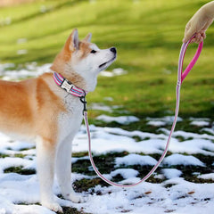 Fur Padded Reflective Custom Dog Collar and Lead