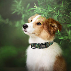Personalized Tribal Pattern Comfy Dog Collar