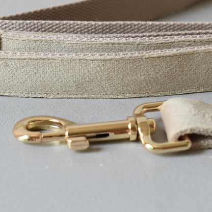 Thick Beige Velvet Dog Collar Bowtie Set