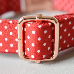 Bow Tie Polka Dot Custom Dog Collar Set