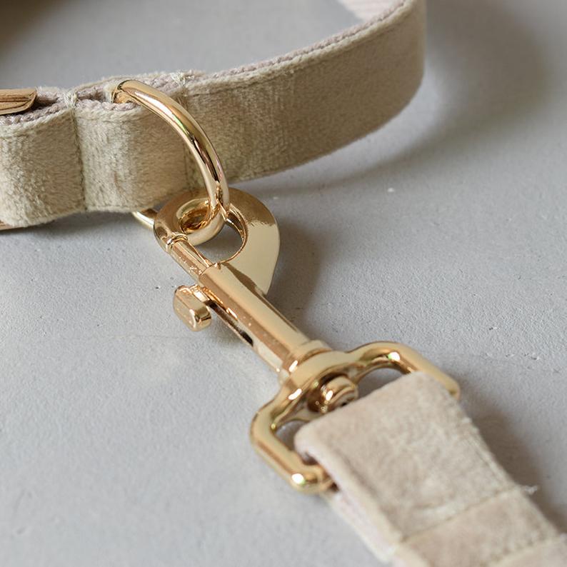 Thick Beige Velvet Dog Collar Bowtie Set
