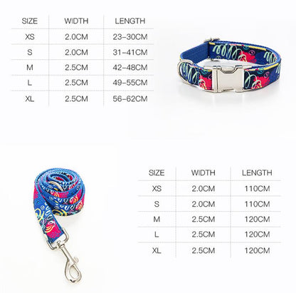 Graffiti Design Custom Dog Collar Set