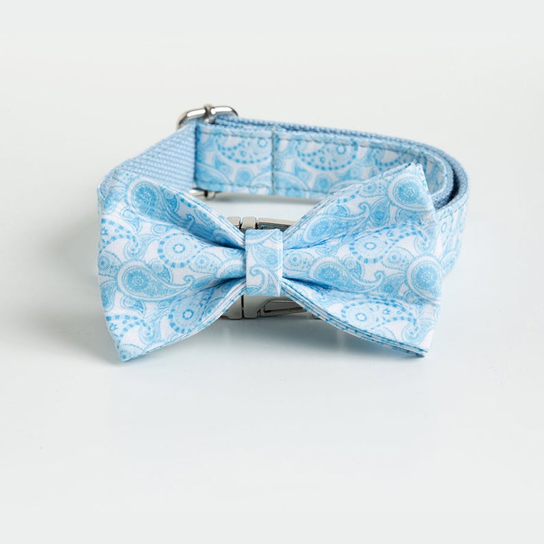 Handmade Blue Paisley Design Dog Collar Set