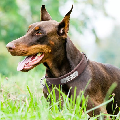 Personalised Laser Engraved Leather Dog Collar