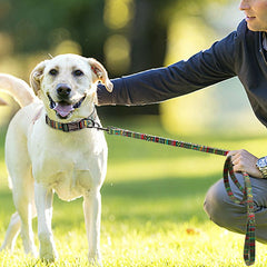Custom Geometric Pattern Comfy Dog Collar